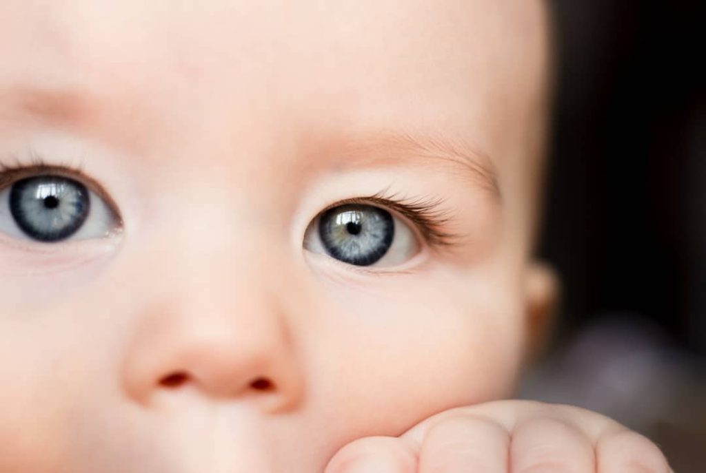 ojos grises bebes