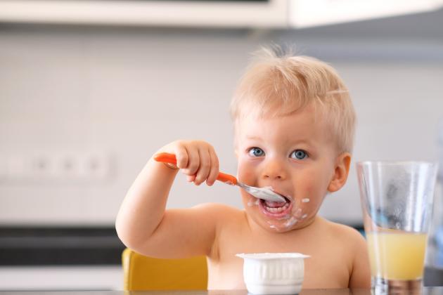 bebés- introducir lácteos en la dieta