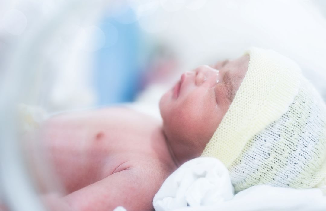 Que Es La Maduracion Pulmonar Fetal Letsfamily