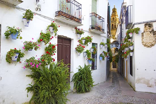 patios-cordoba-qué-hacer-el-día-de-la-madre