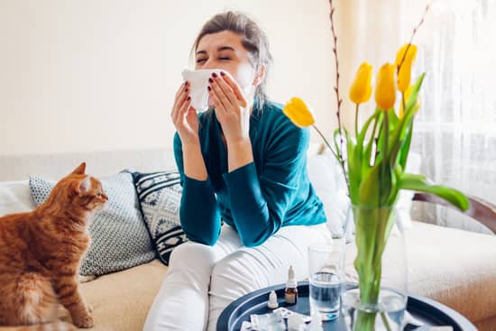 alergia estacional en casa