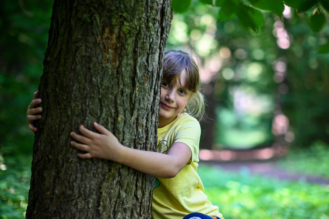 banos de bosque