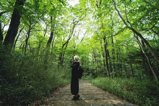 banos en la naturaleza