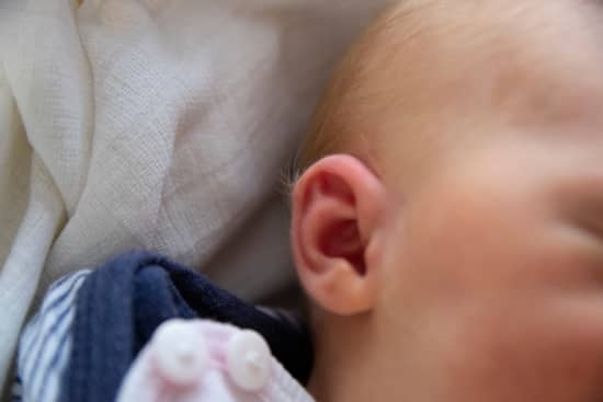 palabras sobre embarazo lanugo