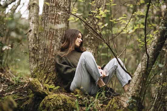 banos de bosque para relajarse